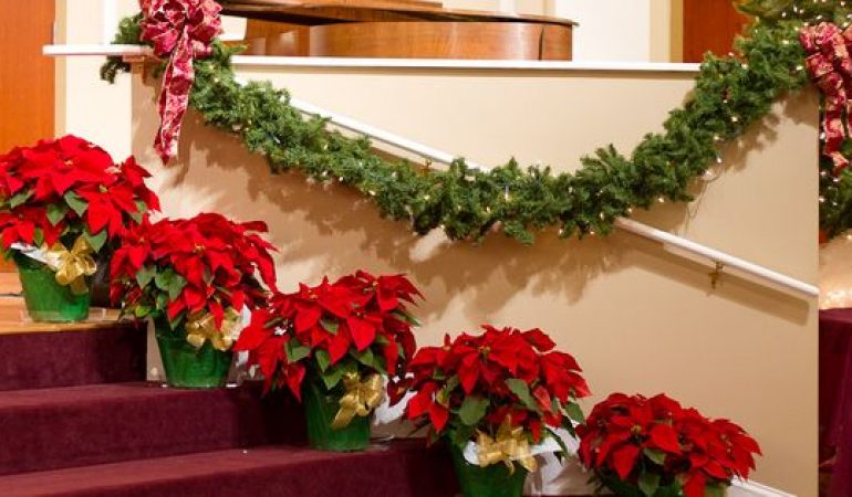 Church Christmas Decorations St Peter's Church Welcome To The Best Church Christmas Decorations Designs Church Christmas Decorations St Peter's Church Welcome To The Best Church Christmas Decorations Designs